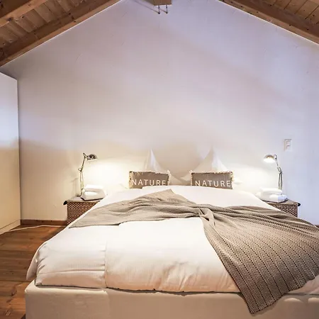 Apartment Chesa Alossa By Interhome La Punt-Chamues-ch