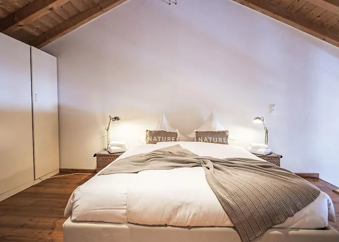 شقة Chesa Alossa By Interhome لا بانت شاموس سي إتش